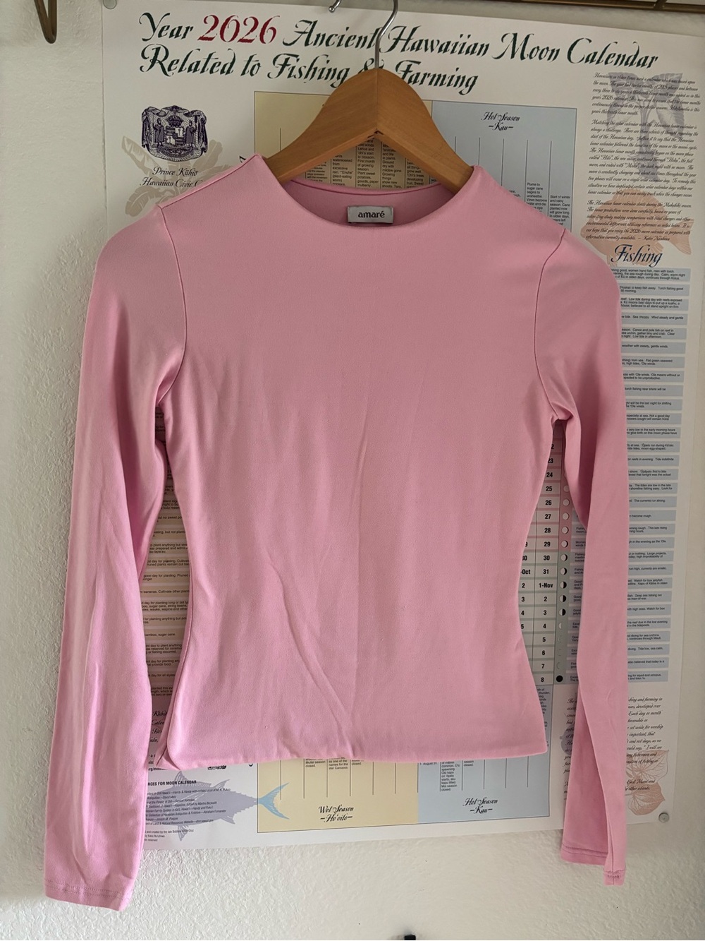 Amare Long Sleeve Crewneck Top in Pink